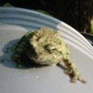 Meet your Posher, Wayne